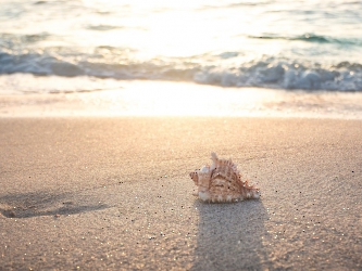 beach-4301479_1280